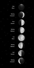 Wall Mural - moon phases scheme sphere shadow cycle astronomy icon set. vector illustration background