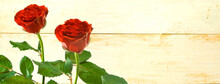 Beautiful Two Red Roses On The Background Of Wooden Boards.