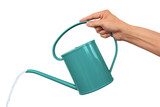 Fototapeta Desenie - Gesture series: hand with watering can.
