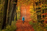 Fototapeta  - Kobieta idąca z koszykiem ścieżką w lesie pokrytą jesiennymi liśćmi