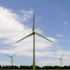 Wall Mural - Wind turbines for environmentally friendly energy production on a field in Germany.