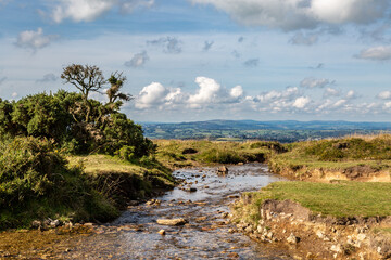 Poster - An idyllic view in Dartmoor National Park in Devon