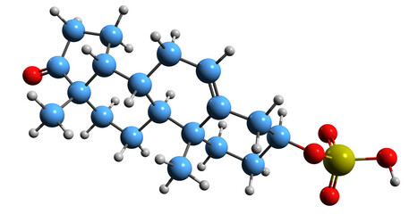 Wall Mural - 3D image of Prasterone sulfate skeletal formula - molecular chemical structure of dehydroepiandrosterone sulfate isolated on white background