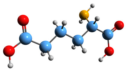 Poster - 3D image of a-Aminoadipic acid skeletal formula - molecular chemical structure of metabolite isolated on white background