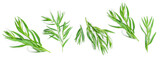 Fototapeta Sypialnia - tarragon or estragon isolated on a white background. Artemisia dracunculus. Top view. Flat lay