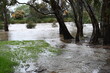 Castlemaine flooding 2022 Victoria  Australia