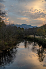 Wall Mural - a walk in fall in north carolina