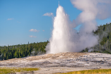 Sticker - Old Faithful geyser erupting, Yellowstone National Park.