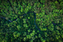 River Winding Through Dense Rainforest