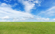 © Sakee - green field and blue sky