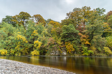 Autumnal Colours Along The River Wharfe