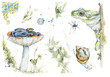 Spread from my sketchbook. Mushroom forest sketches. Watercolor hand drawn illustration