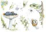 Fototapeta  - Spread from my sketchbook. Mushroom forest sketches. Watercolor hand drawn illustration