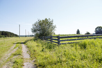 Canvas Print - dirt road in the village