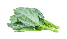Chinese Kale Vegetable Isolated On Transparent Png