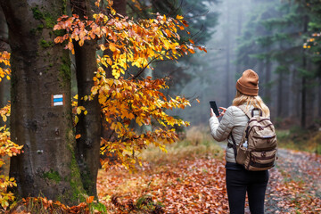 Woman tourist with smart phone using GPS and mobile app for navigation in forest trail