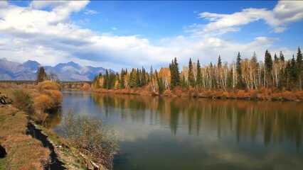 Wall Mural - autumn landscape with yellowed bushes and forest along banks of irkut river against backdrop of moun