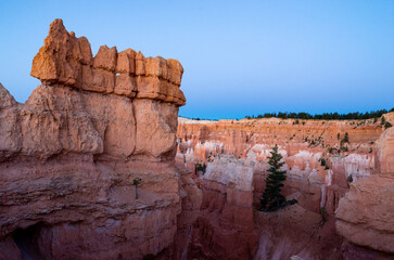 Wall Mural - bryce canyon national park, utah, usa