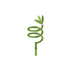 Wall Mural - twisted lucky bamboo spiral plant vector logo