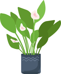 Poster - Blooming plant in pot semi flat color raster object. Full sized item on white. Home garden. Blossoming houseplant simple cartoon style illustration for web graphic design and animation