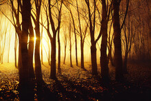 Digital Art Of Sunlight Passing Through The Woods