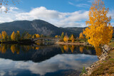 Fototapeta Natura - autumn in the mountains