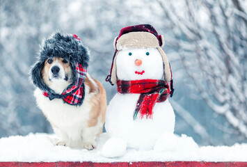 Sticker - cute corgi dog puppy in a warm hat is sitting in a winter christmas park next to a snowman