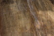 Kajak Hintergrund. Old Kanu Backgraund