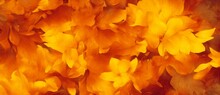 A Close Up Of A Bunch Of Yellow Flowers, Beautiful Autumn Graphic Resource Abstract Texture Background Wallpaper. For Website Header Or Web Banners.