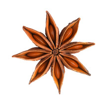 Whole Star Anise Isolated On White Background With PNG.