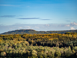 Poster - Mischwald im Herbst