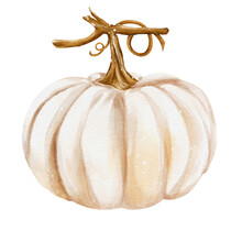 Pumpkin Watercolor Art Free Stock Photo - Public Domain Pictures