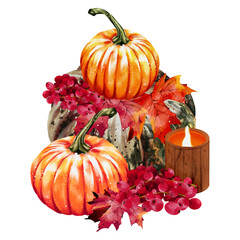  Autumn pumpkins watercolor illustration design