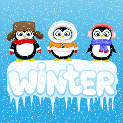 Sticker - Winter illustration with penguins on an ice floe on a blue background.