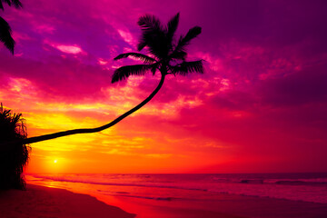Wall Mural - Colorful sunset with coconut palm tree silhouette on tropical island beach with calm ocean
