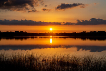 Beautiful colors of a tranquil sunset with reeds at North Turtle Lake in rural Minnesota, USA 
