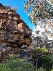 Wall Mural - Eroded Cliff Face on the Prince Henry Cliff Track in the Blue Mountains of New south Wales