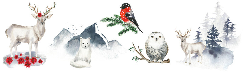 Winter animals and birds and beautiful nature backgrounds. Cut out hand drawn PNG illustration on transparent background. Watercolour clipart drawing.