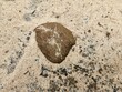 heart shaped stone on sand 