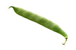 one green pea pod, png file