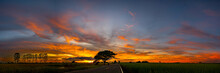 Panorama Orange Sunset Sky And Dark Clouds Over  Rice Fields.Fluffy Cloud In The Colorful  Sky Background.Vivid Sky On Dark Cloud In Summer Rice Fields Thailand,ASIA.