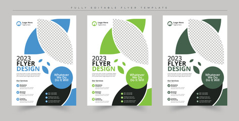 flyer brochure design template. set color flyer business flyer template, a4 size flyer, corporate bu
