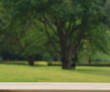 © 52Ps.Studio - soft light fresh green tree garden and beige wooden table top floor blurred bokeh natural relax spring park background with empty copy space. organic healthy product promotion display design.