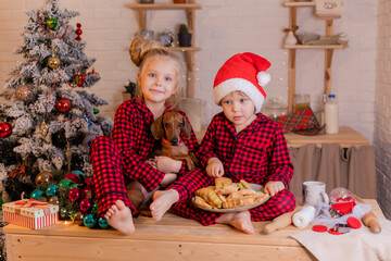 children in red pajamas and santa hats and their dog dachshund eat christmas cookies in the kitchen