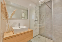 Interior Of Minimalist Bathroom With Cabinet And Shower Cabin
