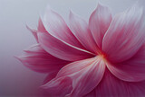 Fototapeta Kwiaty - Pink floral background texture, soft pastel colors  beautiful flower illustration, love of spring, romantic wallpaper