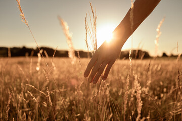 Female walking a field at sunset. Feeling at peace in nature concept.	