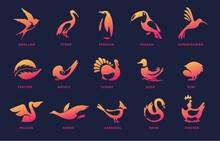 Negative Space Bird Icons. Swan Emblem, Kiwi Silhouette And Flying Swallow. Different Birds Symbols Vector Set