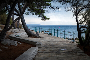 Canvas Print - Pedestrian path passing parallel with sea shore of Brac island at the town of Supetar, Croatia, covered in dense pine trees