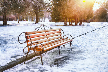 Wall Mural - Park bench and trees in city park during winter